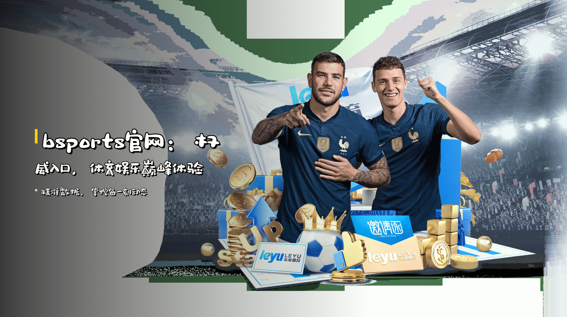 <strong>bsports官网</strong>：权威入口，体育娱乐巅峰体验